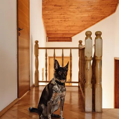 Dom Wypoczynkowy Milowka 펜션 *