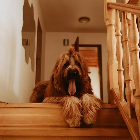 別荘 Dom Wypoczynkowy Milowka