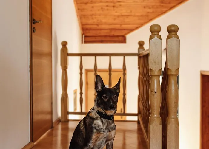 Dom wypoczynkowy Milówka Сasa de vacaciones *