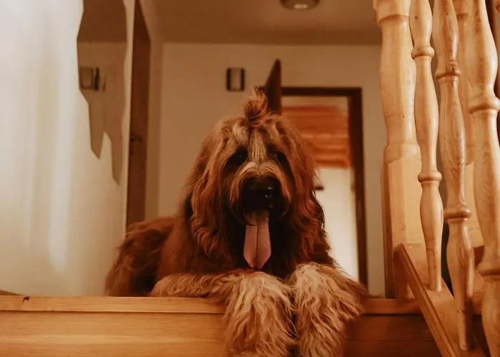 בית נופש Dom Wypoczynkowy Milowka